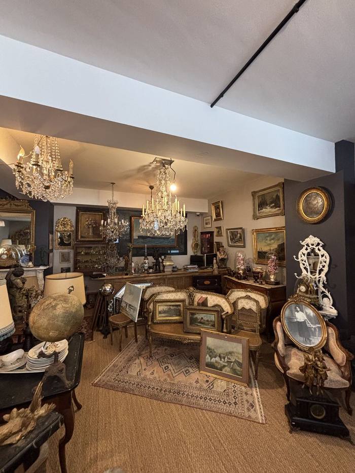 Vue générale de l'intérieur de la boutique Vire et son Grenier